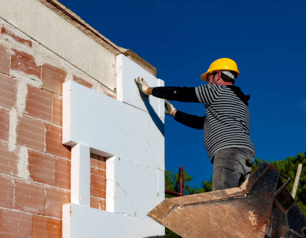 Best Local Insulation Services  in West Dundee, IL
