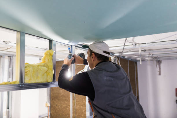 Best Local Insulation Services  in West Dundee, IL