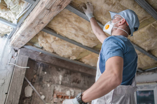 Best Home Insulation Services  in West Dundee, IL