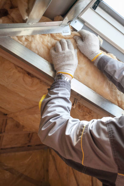 Best Spray Foam Insulation  in West Dundee, IL