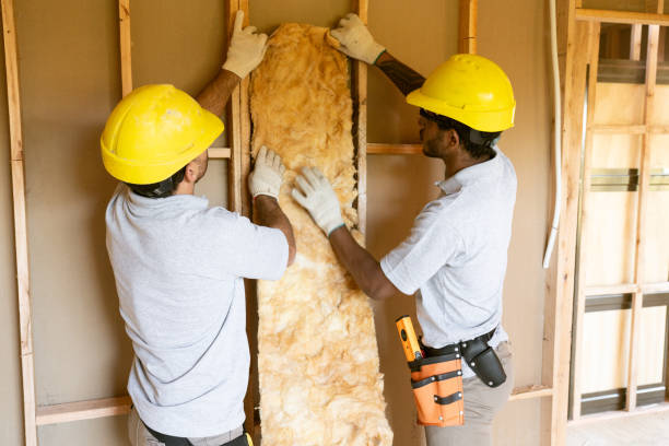 Best Insulation Contractors for Homes  in West Dundee, IL