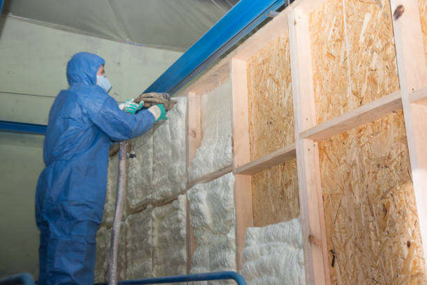 Best Spray Foam Insulation  in West Dundee, IL