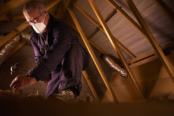 Best Insulation Removal  in West Dundee, IL